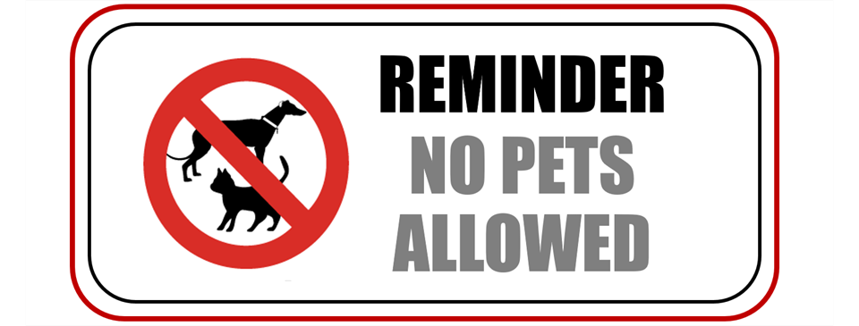 No Pets !